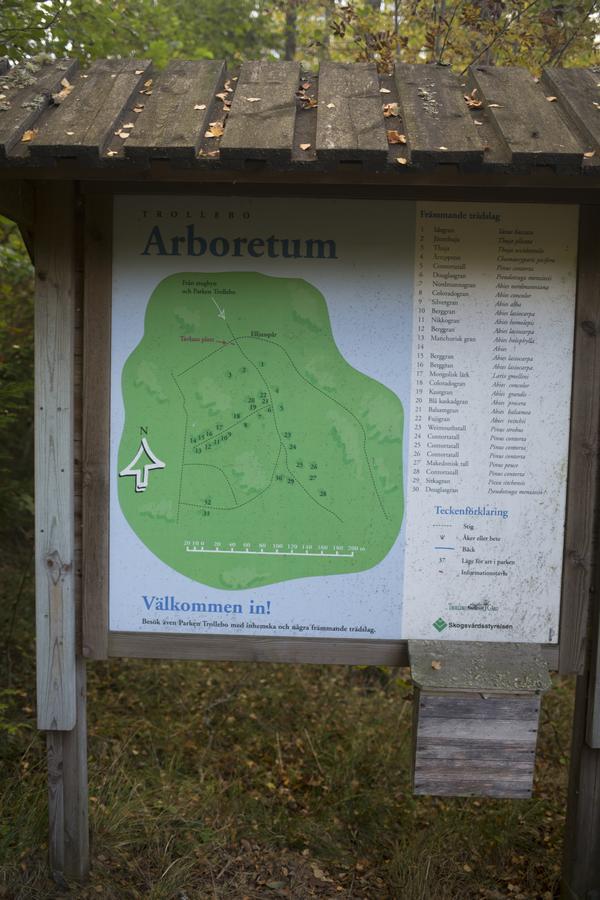Trollebo Saeteri Bed and Breakfast Vetlanda kommun Eksteriør billede